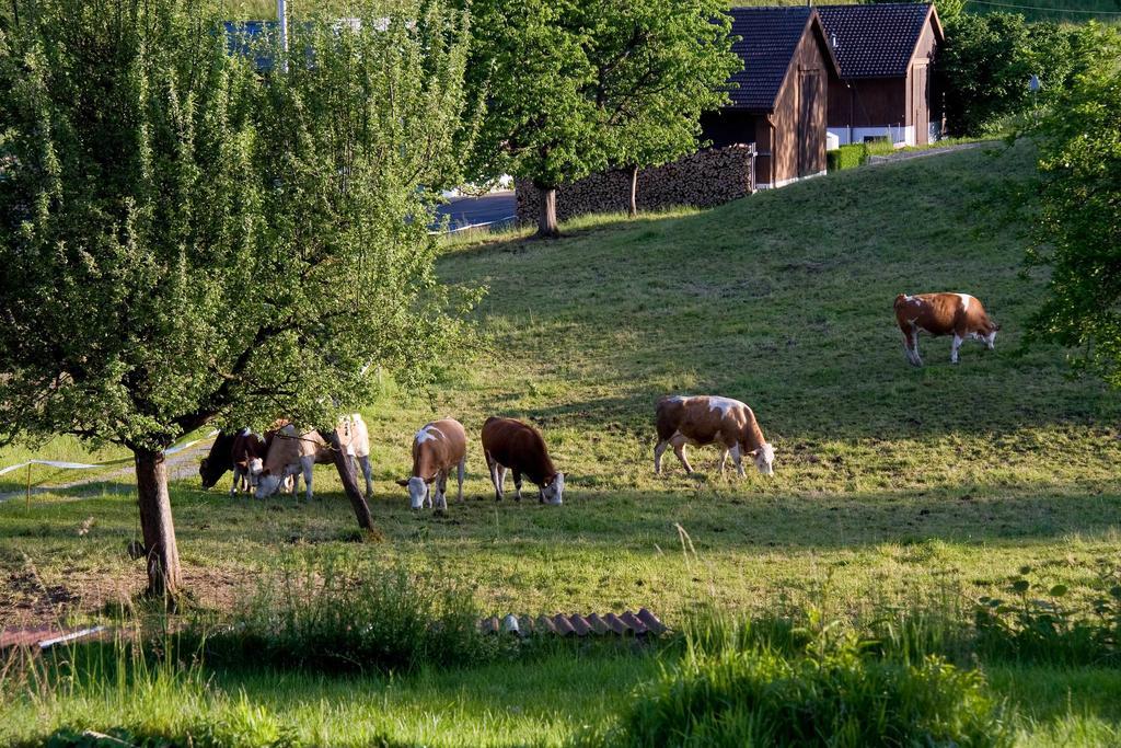 Seehotel Boutique Jaegerhof-Hubertus Faulensee Eksteriør bilde
