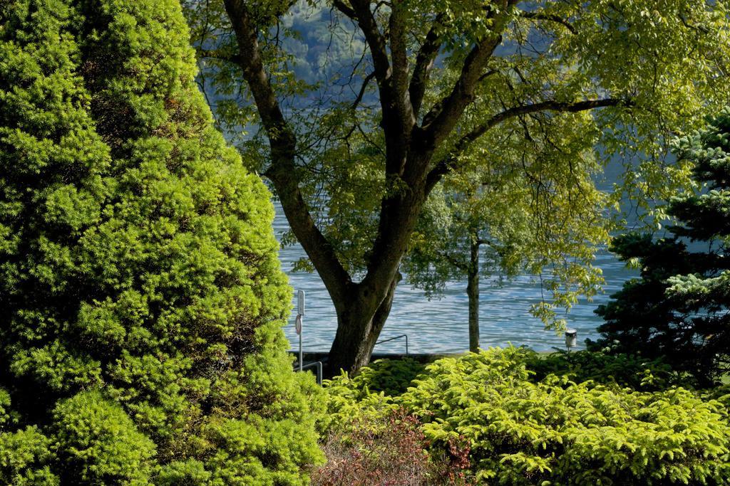 Seehotel Boutique Jaegerhof-Hubertus Faulensee Eksteriør bilde